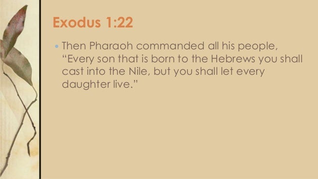 Word on Fire’s Exodus & Moses Lesson Plan, Video, and Handouts